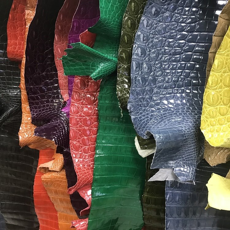 alligator skin