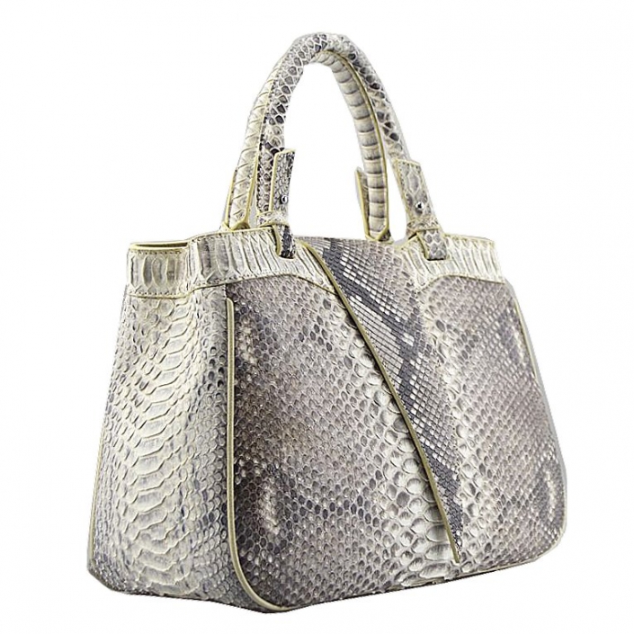 Interesting Facts About Python Skin Bag