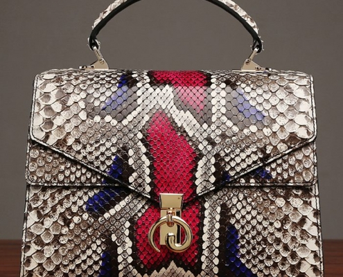 Snakeskin Handbag