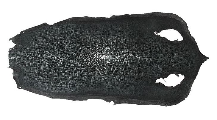 Stingray Leather