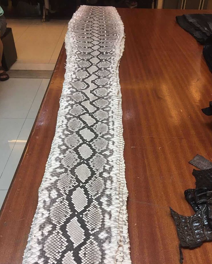 Genuine Python Skin